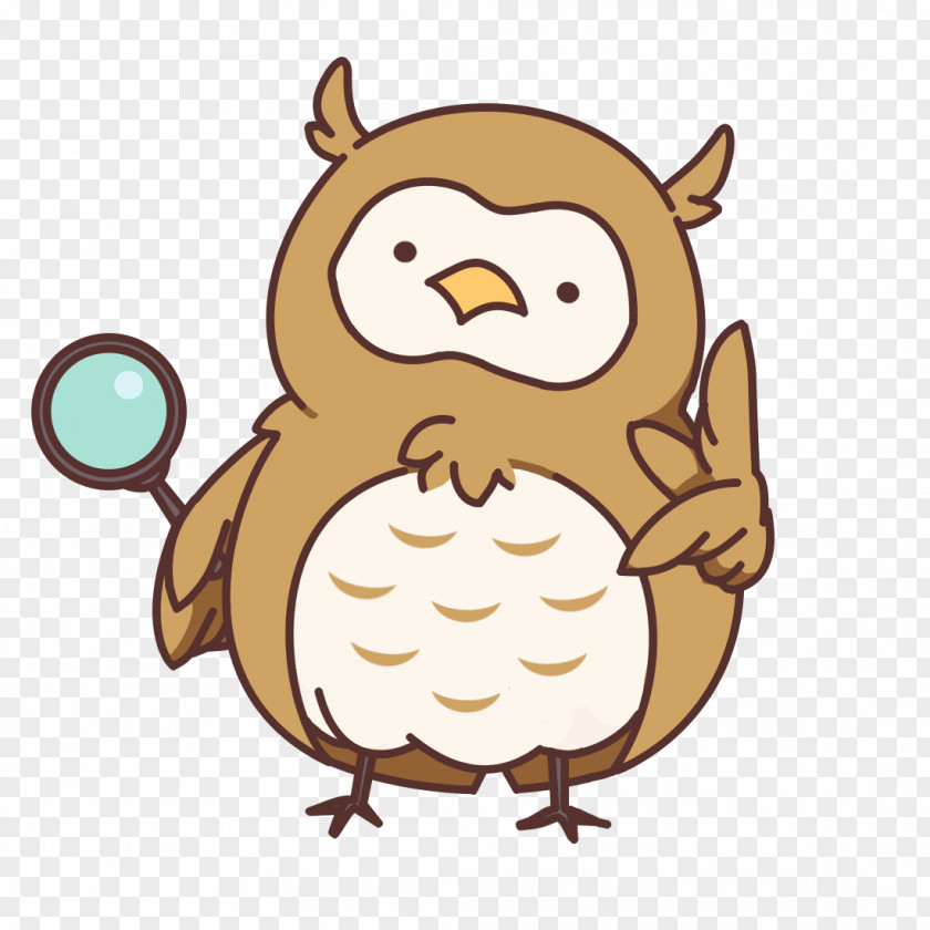 Owl Beak Bird Of Prey Clip Art PNG