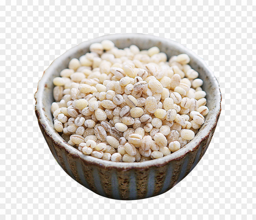 Small Barley Ocean Adlay Pearl Congee Rice PNG