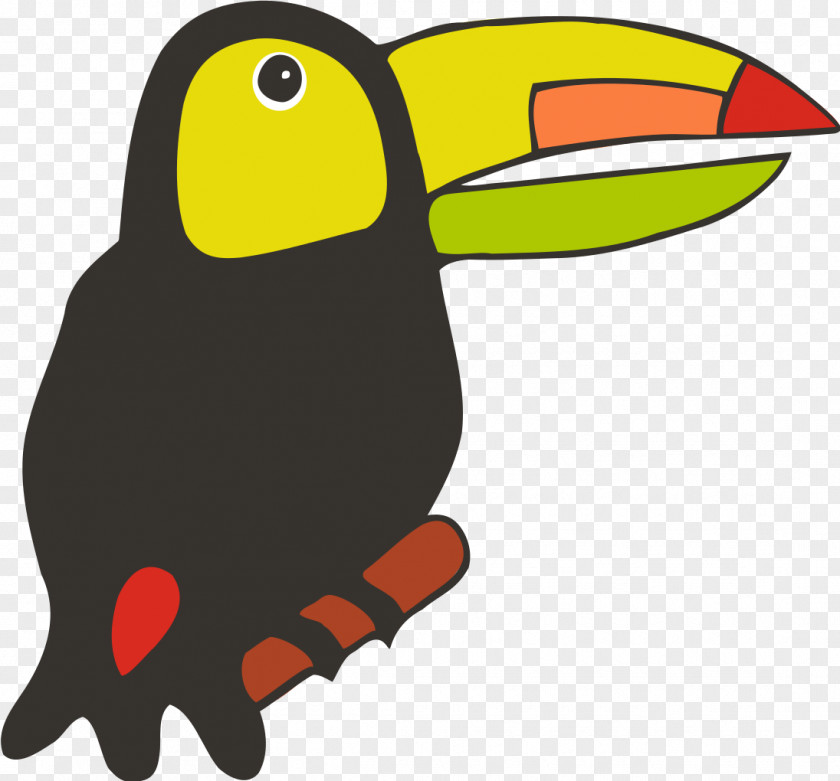 Toucan Bird Parrot PNG