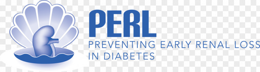 Type 1 Diabetes Logo Brand Paper Airplane PNG