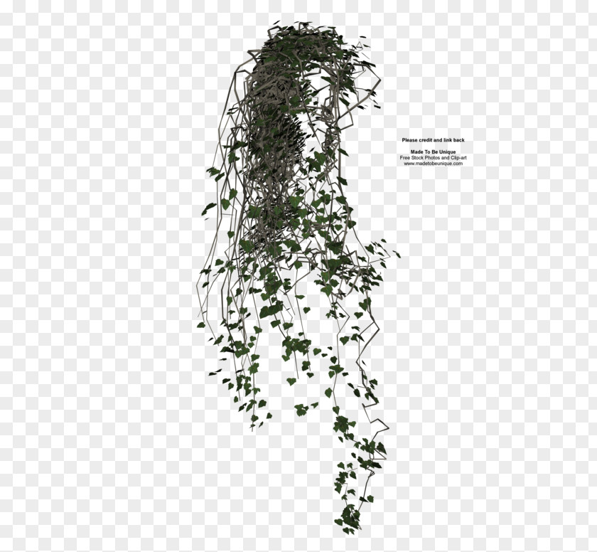 Flower Wall Vine Ivy Texture Mapping Clip Art PNG