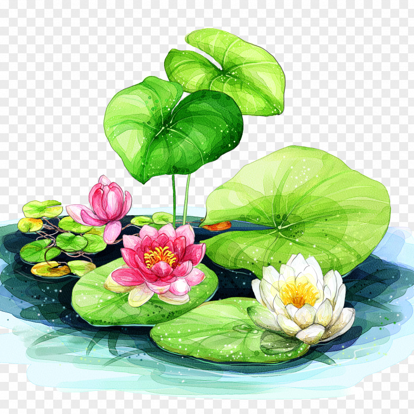 Great Hand-painted Lotus Background Cars Elise Elan Nelumbo Nucifera PNG