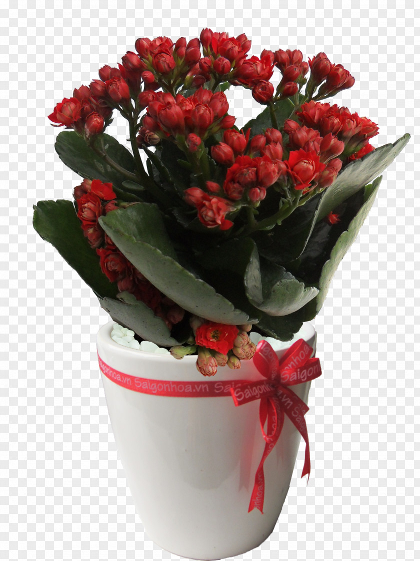 Hoa Sứ Floral Design Cut Flowers Flowerpot Flower Bouquet PNG
