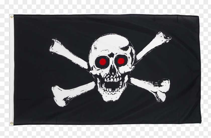 Pirate Flag Jolly Roger Flags Of The World Piracy Eye PNG