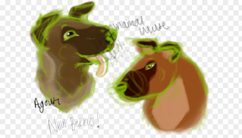 Comming Soon Horse Camel Mammal Carnivora Snout PNG