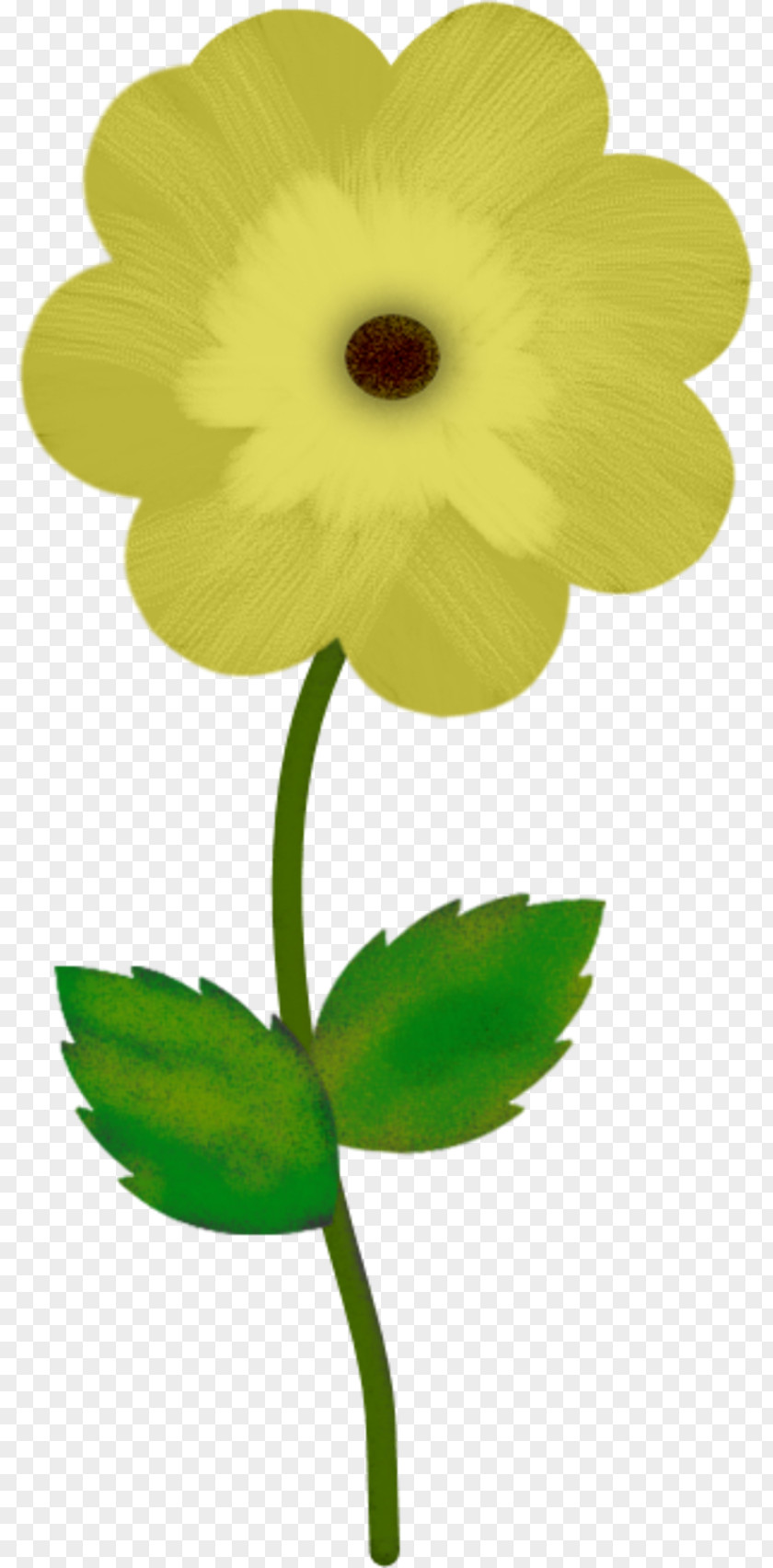 Flower Petal Blume PNG