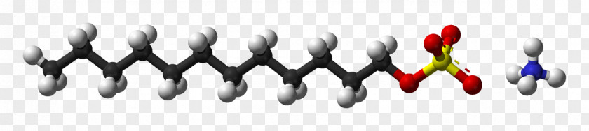 Palmitic Acid Vaccenic Fatty Carboxylic PNG