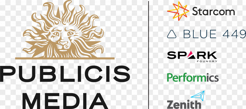 Business Publicis Groupe Media Agency Healthcare Communications Group PNG