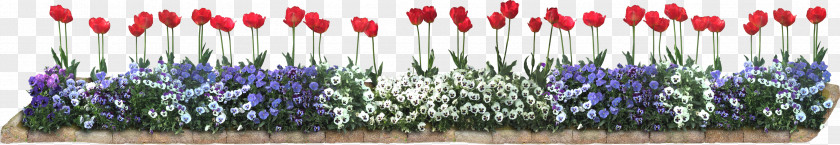 Floral Decoration Pattern Flower Clip Art PNG