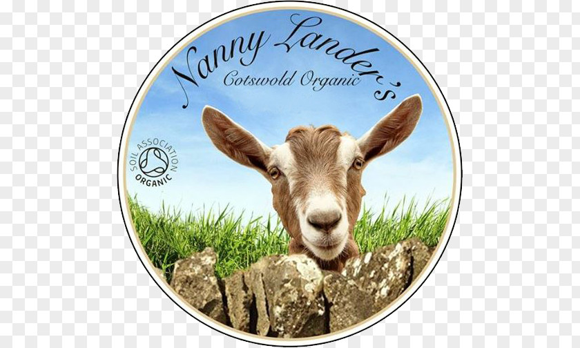 Goat Cheese Farmer Organic Food PNG