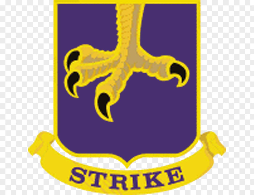 Metal Letters 502nd Infantry Regiment 101st Airborne Division 501st 2nd PNG