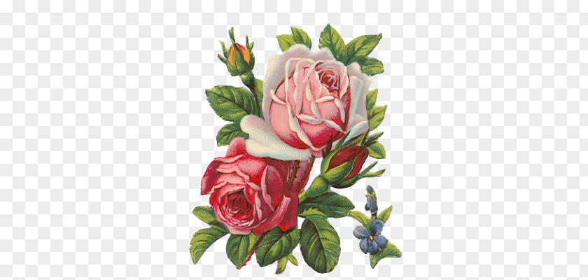 Rose Paper Decoupage Art YouTube PNG