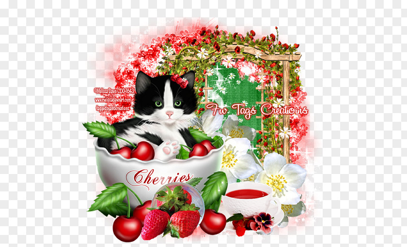 Strawberry Kitten Canvas Melissa Dawn PNG