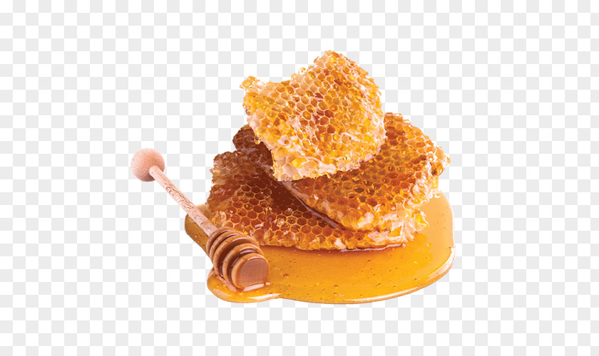 Turmeric Honey Home Remedy Skin Tea Tree Oil Health PNG