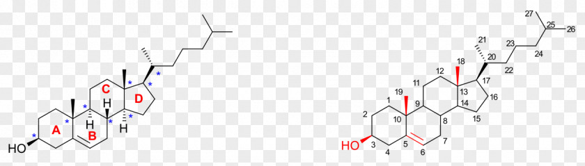 Cholesterol Total Synthesis Stereocenter Alcohol Cortisone PNG