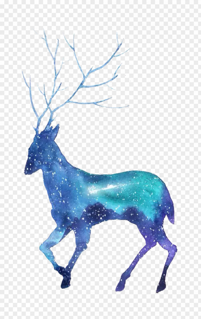 Deer Formosan Sika Silhouette PNG