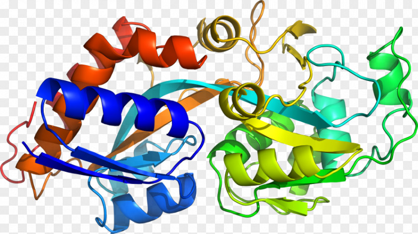 Galactose 1phosphate Organism Clip Art PNG