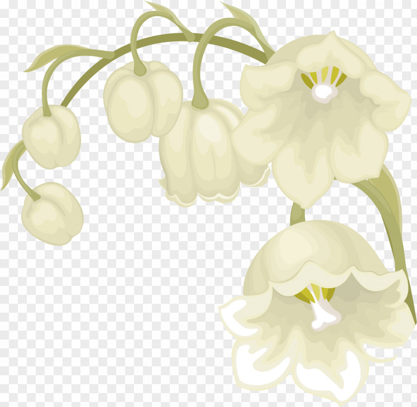 Lily Of The Valley Cut Flowers May 1 Floral Design Petal PNG