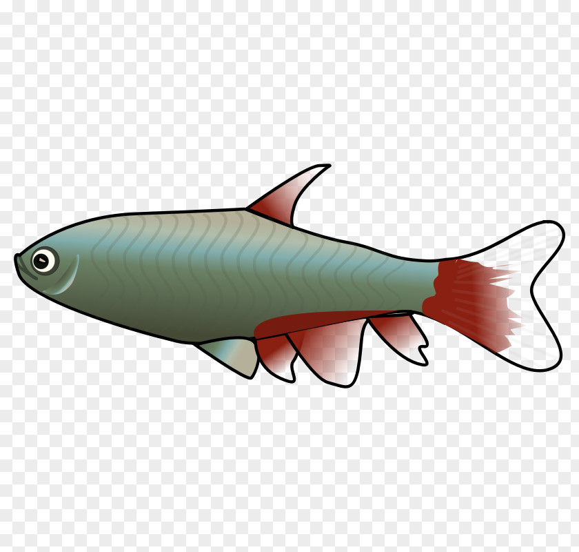 Shark Clip Art Goldfish Vector Graphics Biology Clipart PNG