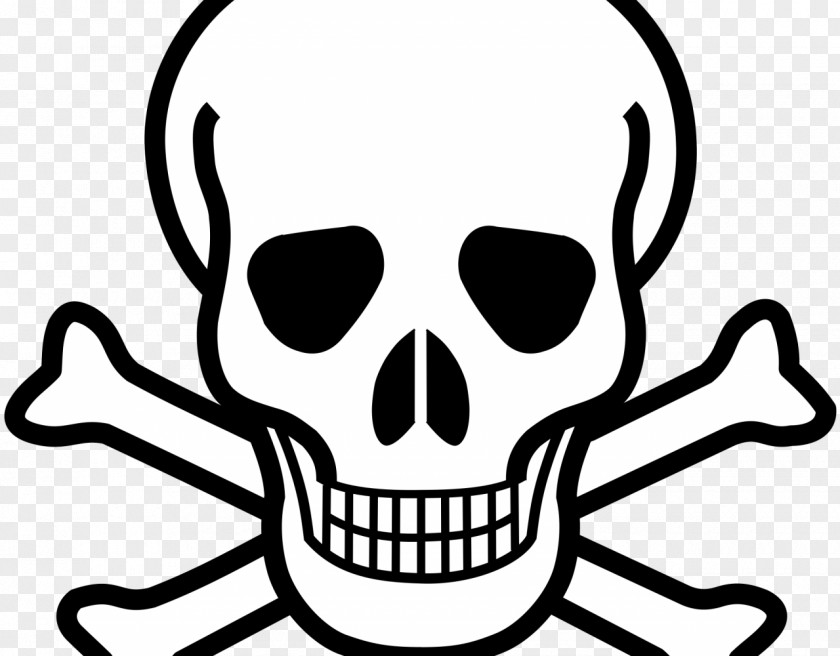 Skull And Crossbones Human Symbolism Bones PNG