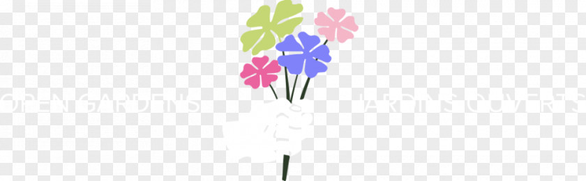 Sophora Japonica Petal Floral Design Desktop Wallpaper PNG