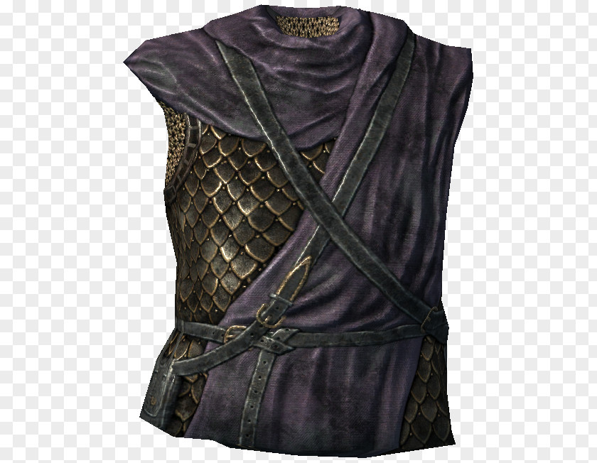 Armour The Elder Scrolls V: Skyrim Costume Body Armor Jerkin PNG