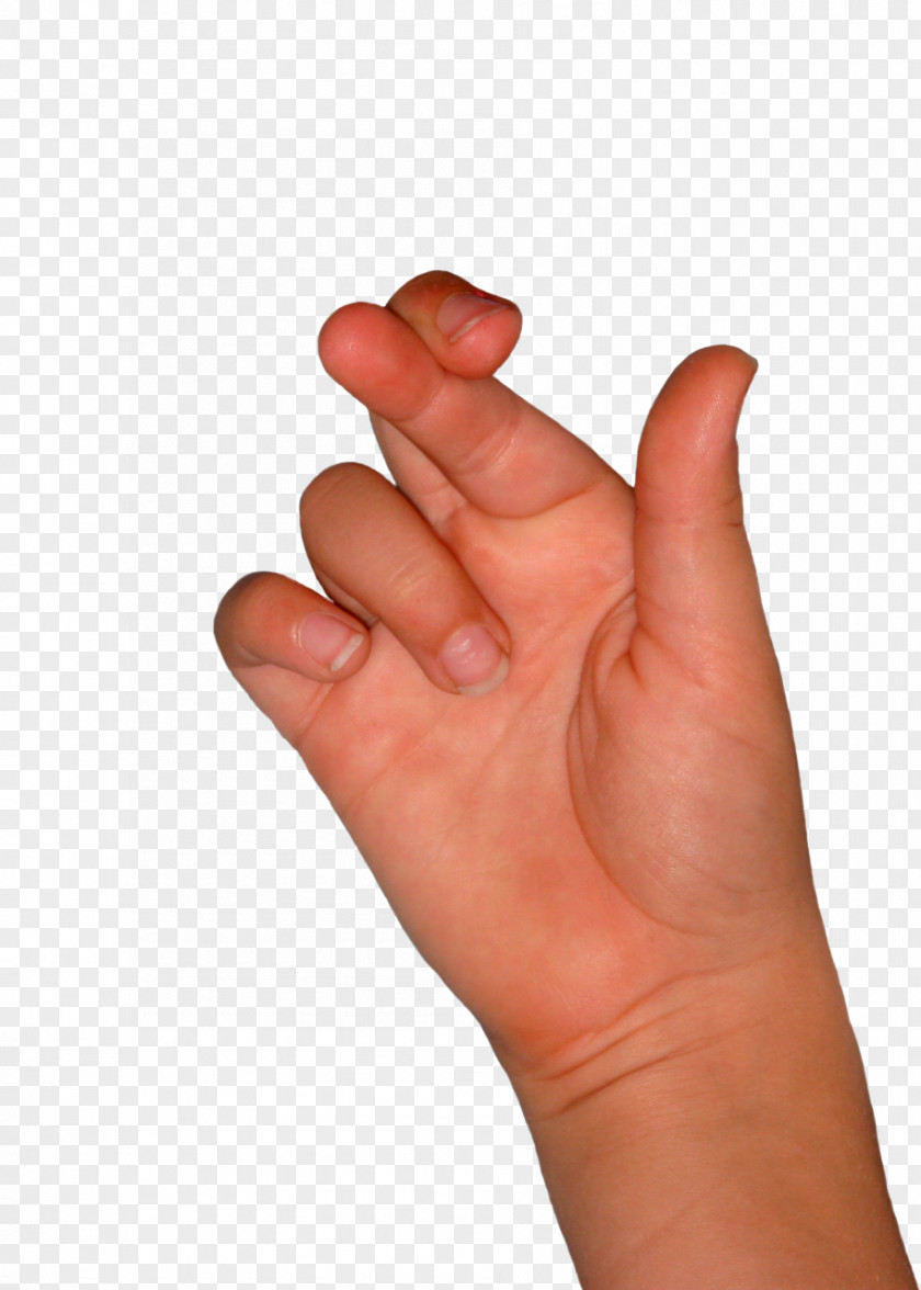 Fingers Finger Thumb Hand Digit PNG