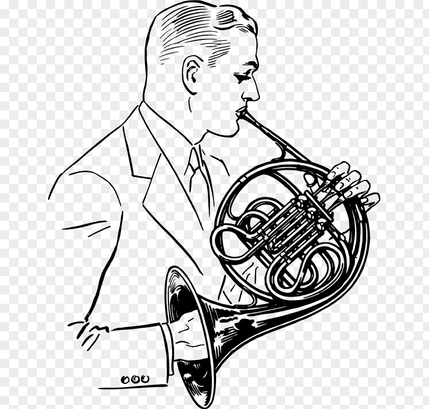 French Horn Horns Drawing Hornist PNG