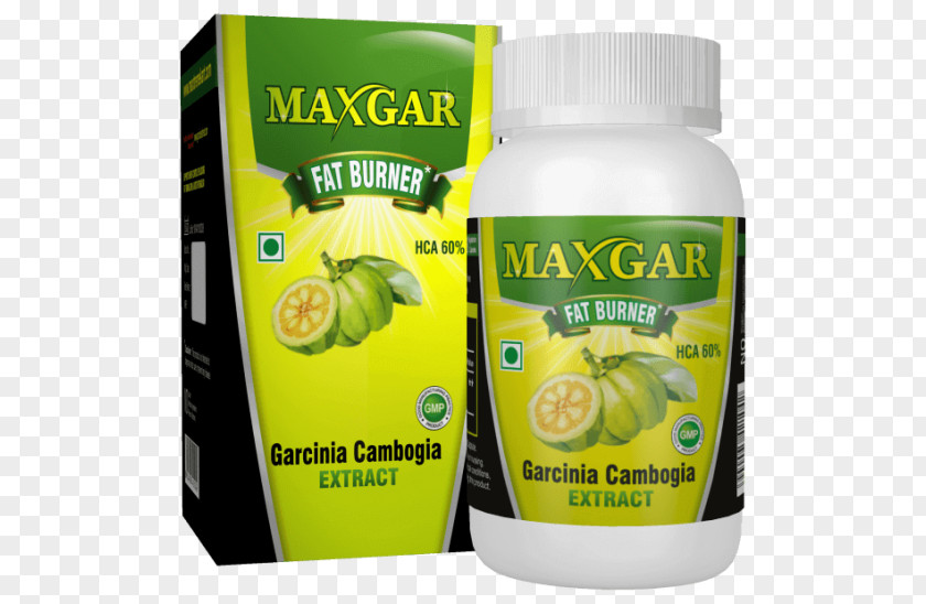 Garcinia Cambogia Dietary Supplement -MaxGar Capsule Green Coffee Extract PNG