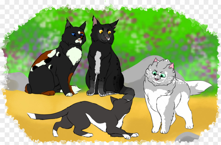 Kitten Whiskers Black Cat Canidae PNG