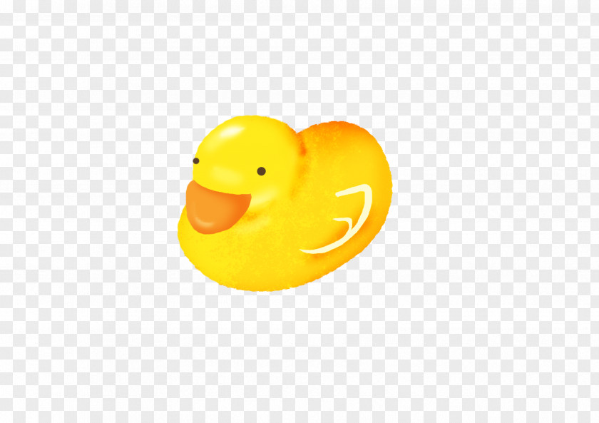 Little Yellow Duck Beak Bird Cygnini Goose PNG