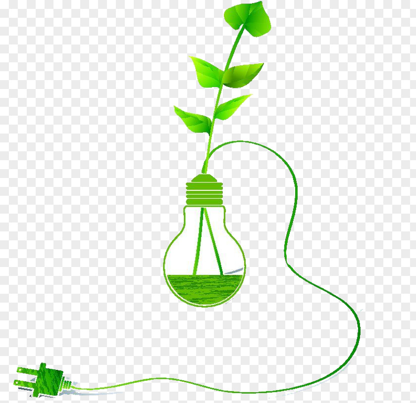 Bulb Of Green Plants Incandescent Light PNG