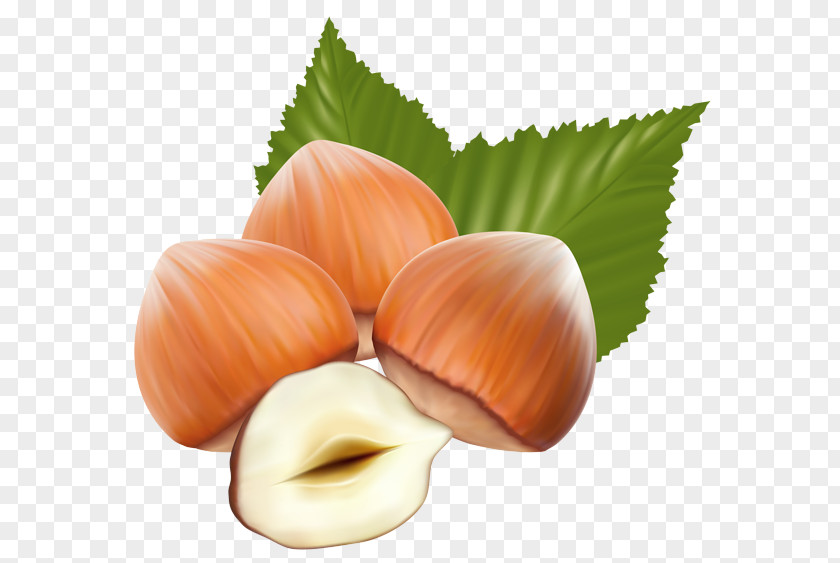 Cuisine Plant Hazelnut Food Leaf PNG