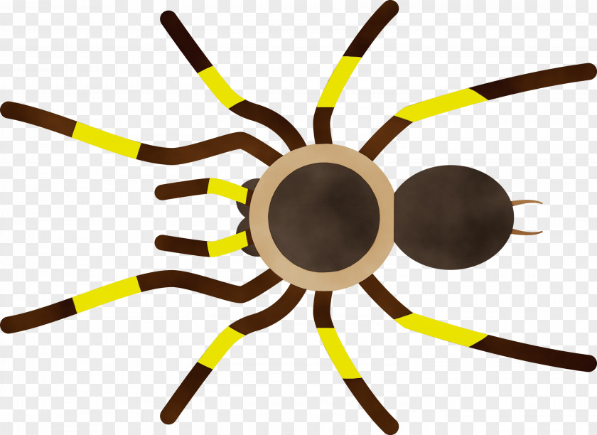 Insect Yellow Line PNG