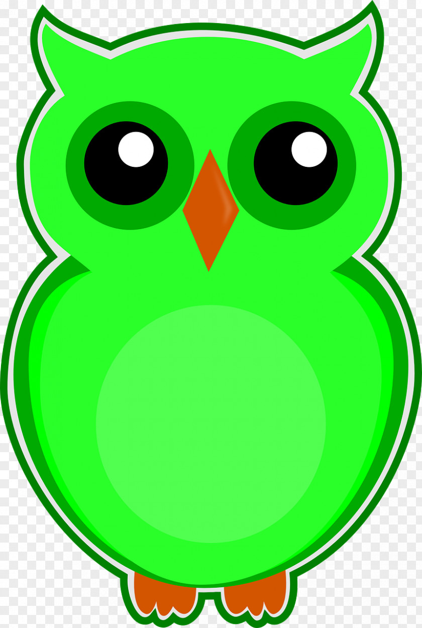 Owls Eksen Dershaneleri Owl Download PNG