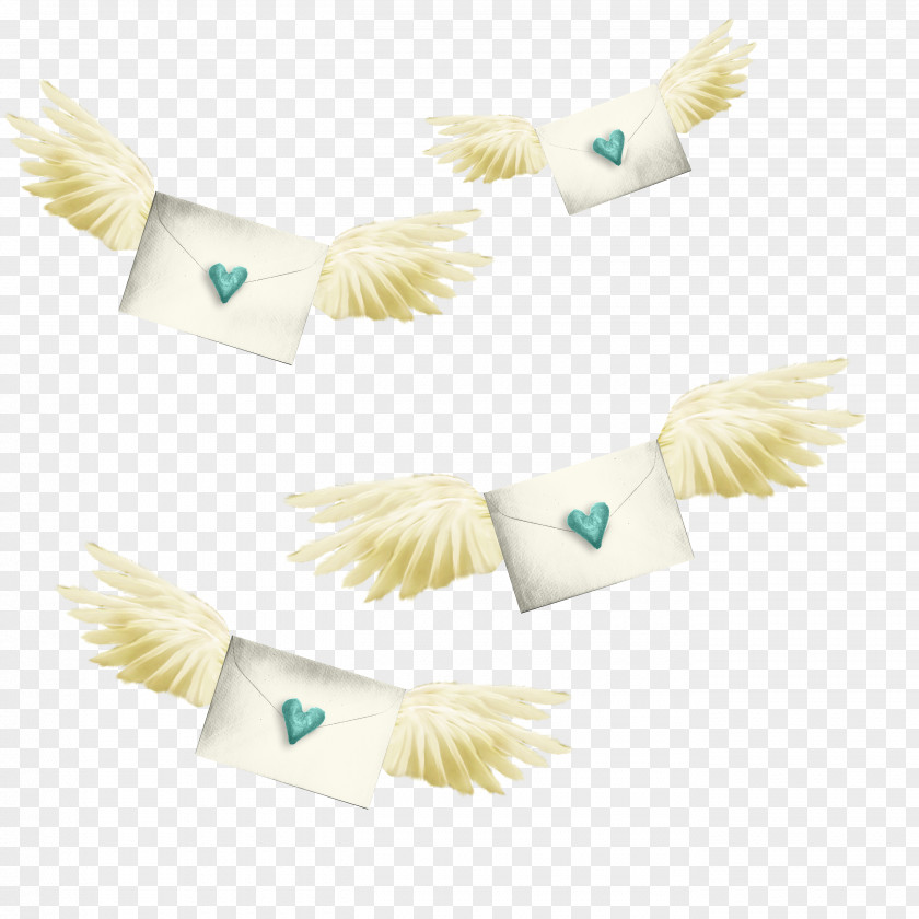 Wings Letters Feather Snowflake Art 1000 COLOR Bird PNG