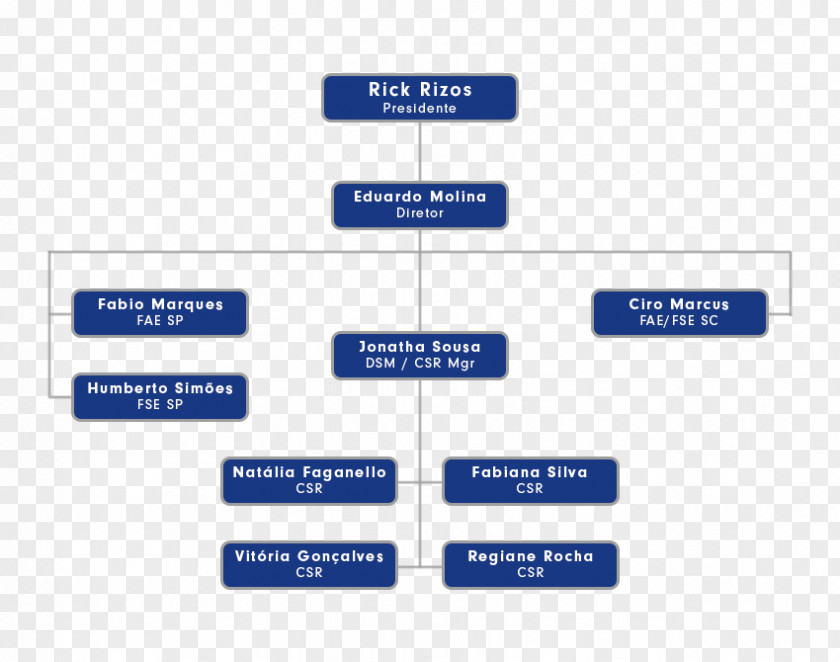 Ammon & Rizos Do Brasil Ltda Organizational Chart Alphaville, São Paulo PNG