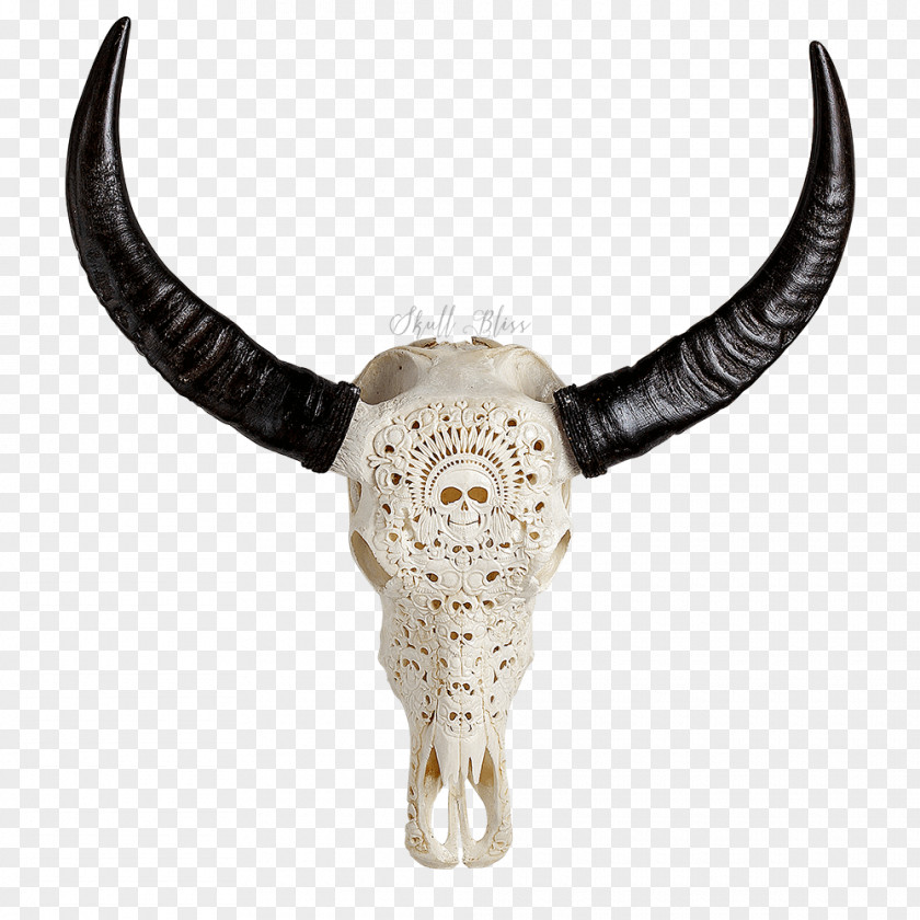Bison Texas Longhorn Goat Animal Skulls PNG