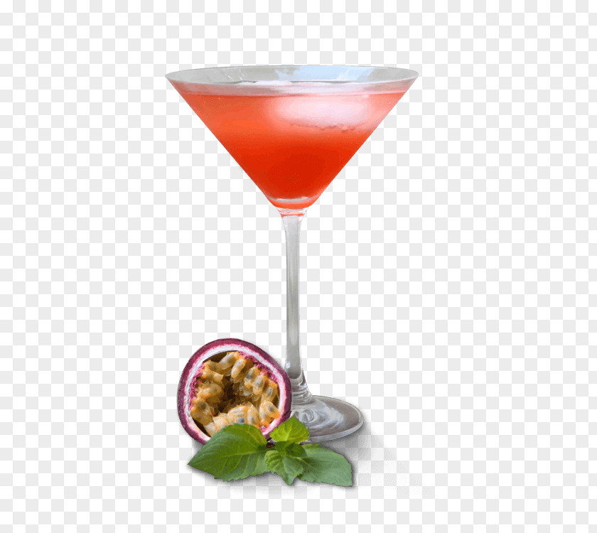Cocktail Garnish Martini Cosmopolitan Sea Breeze PNG