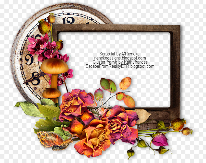 Design Picture Frames Floral Spice PNG