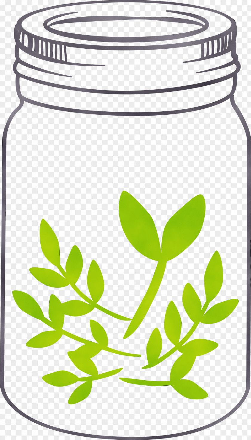Food Storage Containers Leaf Herbal Medicine Herb Tree PNG