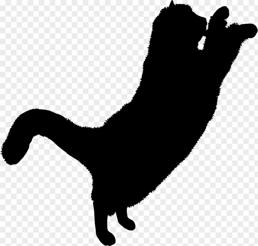 Silhouete Kitten Persian Cat Black Silhouette Clip Art PNG