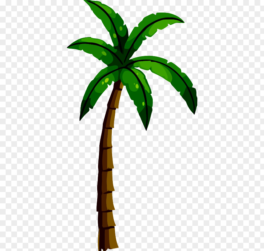 Volleyball Net Arecaceae Coconut PNG