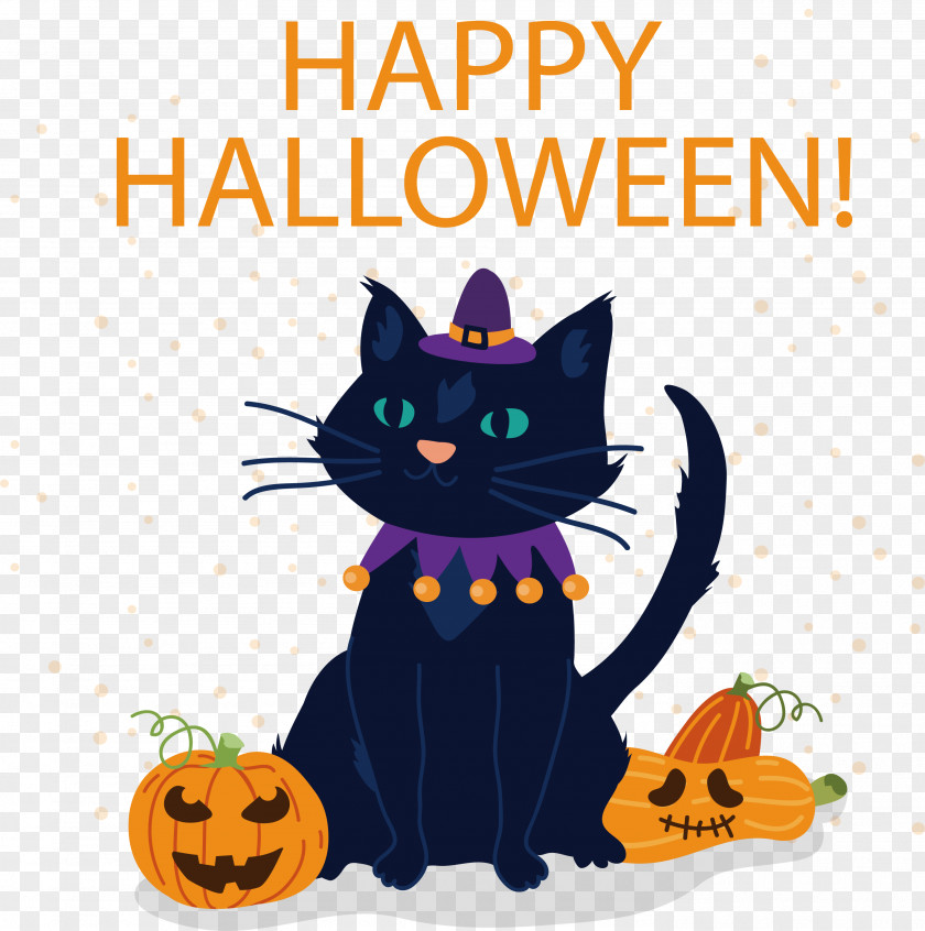 Witch Cat Black Hazel Kitten Halloween PNG