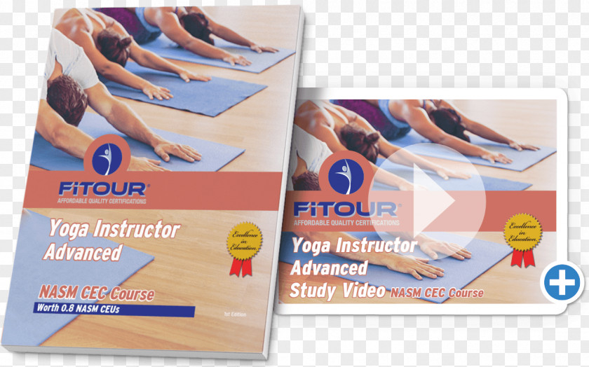 Yoga Training Study Skills Certification Aerobics And Fitness Association Of America Personal Trainer Course PNG