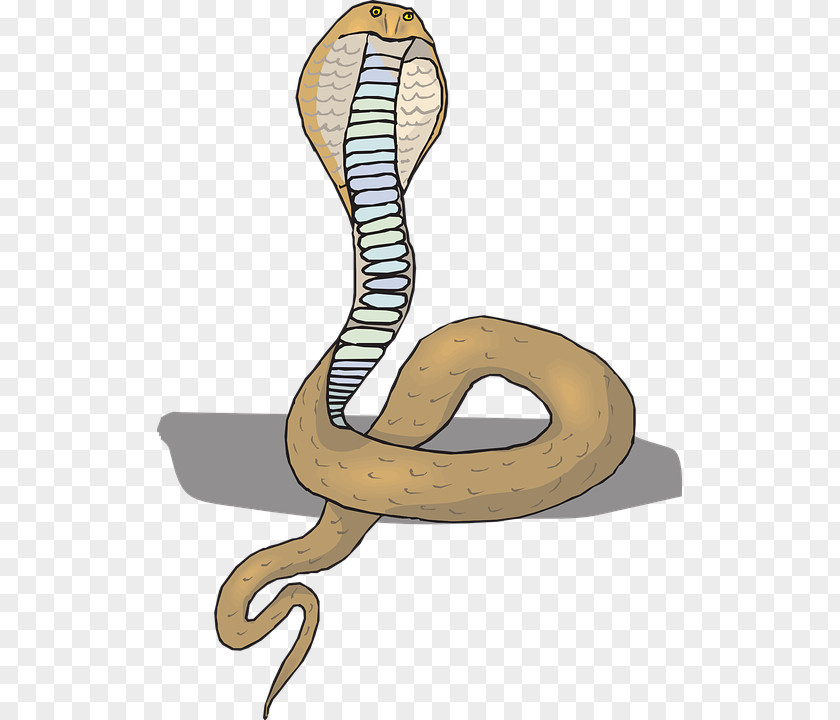 Blue Flower Snake King Cobra Clip Art PNG