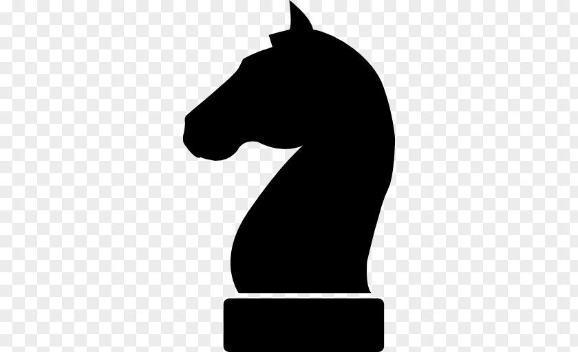 Chess Piece Knight White And Black In Rook PNG
