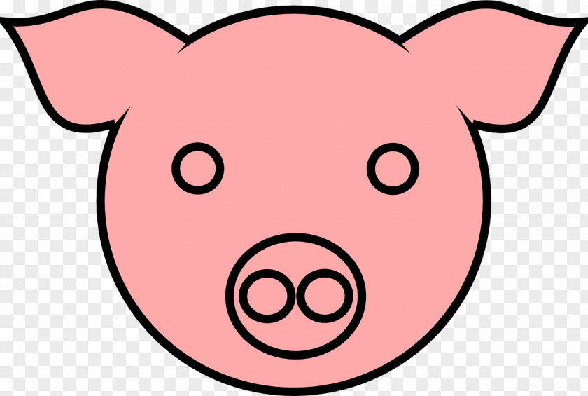 Face Domestic Pig Drawing Pig's Ear Clip Art PNG