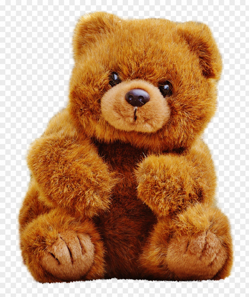 Gift Teddy Bear PNG bear, Bear, brown bear plush toy clipart PNG