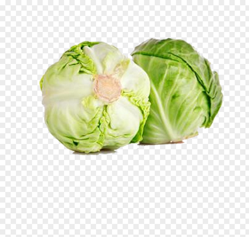 Green Cabbage Red Cauliflower Kohlrabi Brussels Sprout PNG